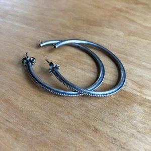 Noisy Plume Straight Shooter Hoops
